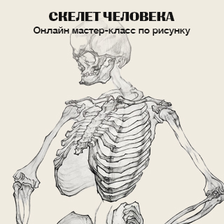 Онлайн мастер-класс по рисунку "Скелет человека"